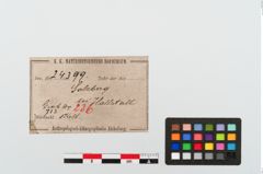 Etikett zu Eisenbeil (NHMW-PRAE-024399)